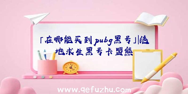 「在哪能买到pubg黑号」|绝地求生黑号卡盟熊